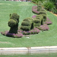 Greenleaf40