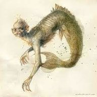 Feejee Mermaid