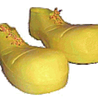 Yellow Shoes