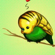 BudgieMama