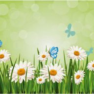 Daisy123