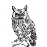 Owl X