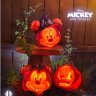 Mickey’s My Spirit Animal