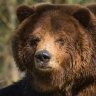 Bruinthor