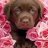 Mickey_26