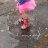 AmyE