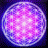 NuMystic