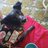 DisneyRoyalPaws