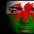 Welsh Dragon