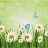 Daisy123