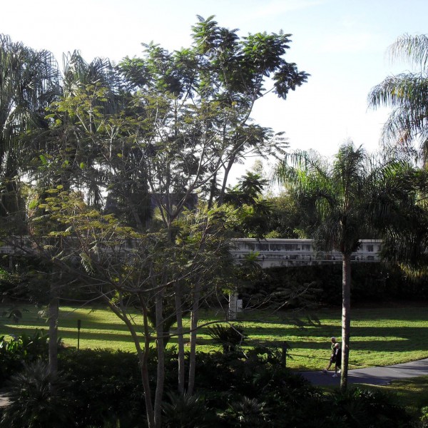 Morning View of the Monorail area of the Polynesian(2011)