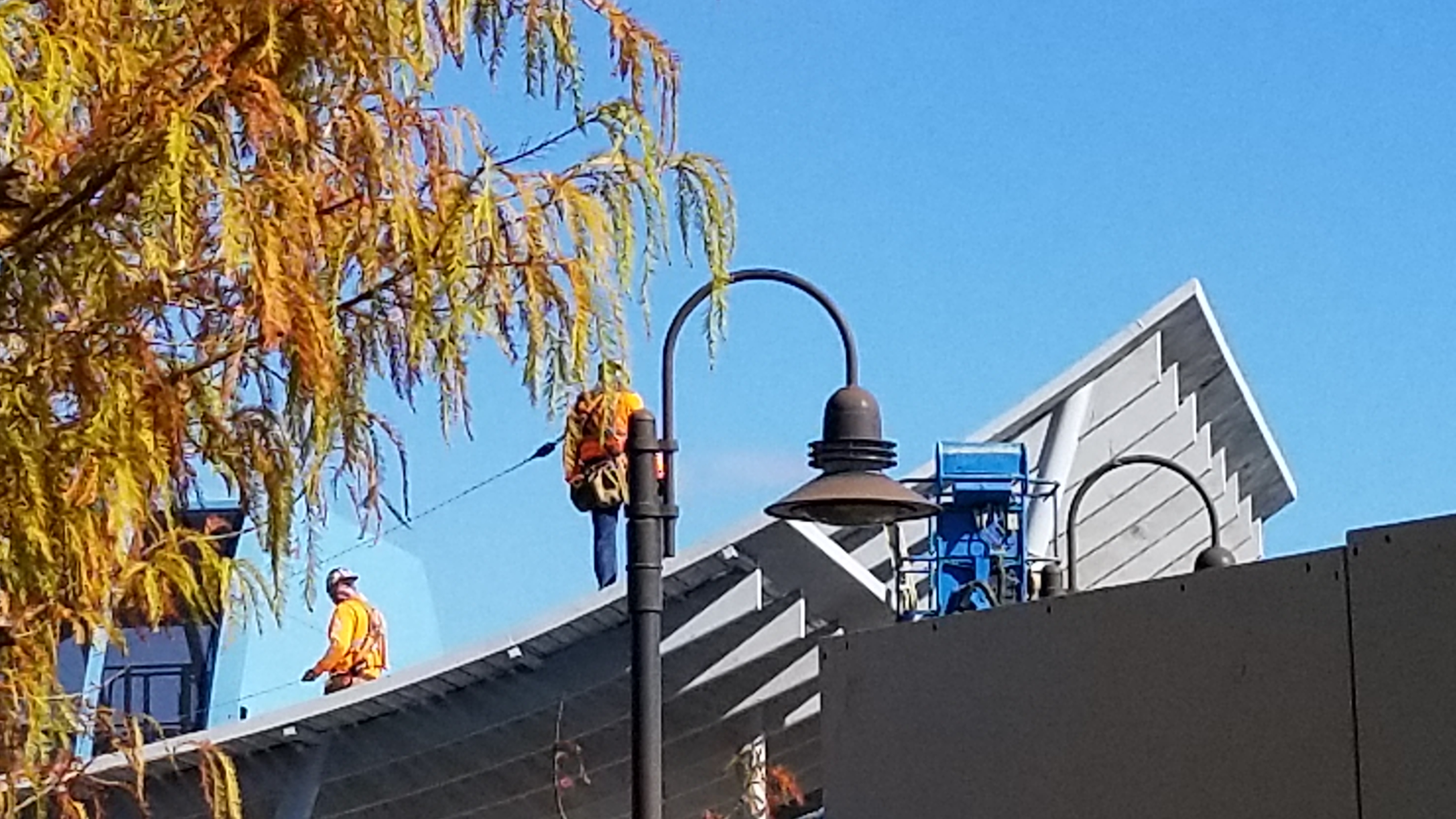 2018-12-07 14.00.29.jpg