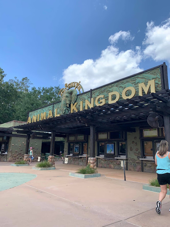 Animal Kingdom entrance