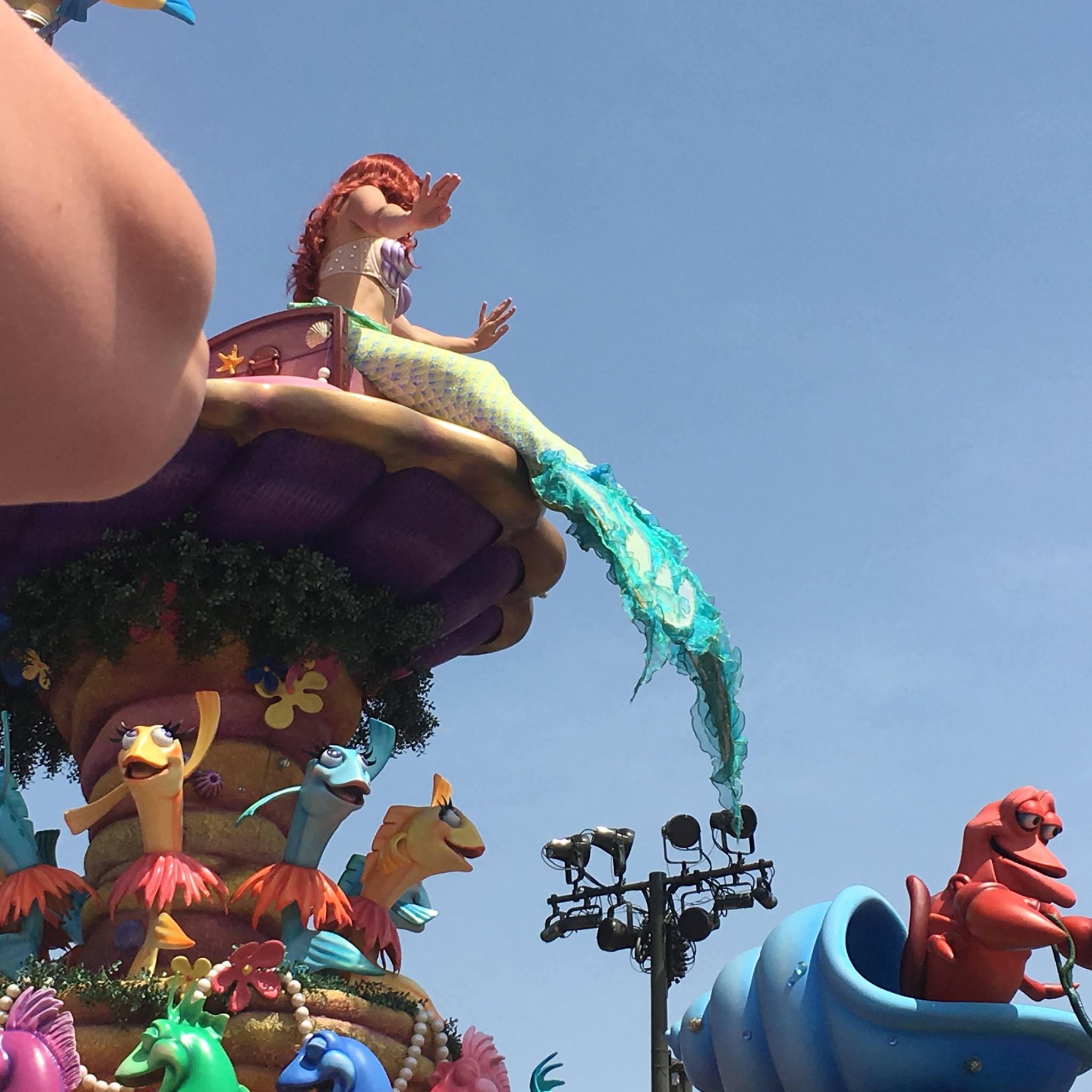 Ariel(and Sebastian)!