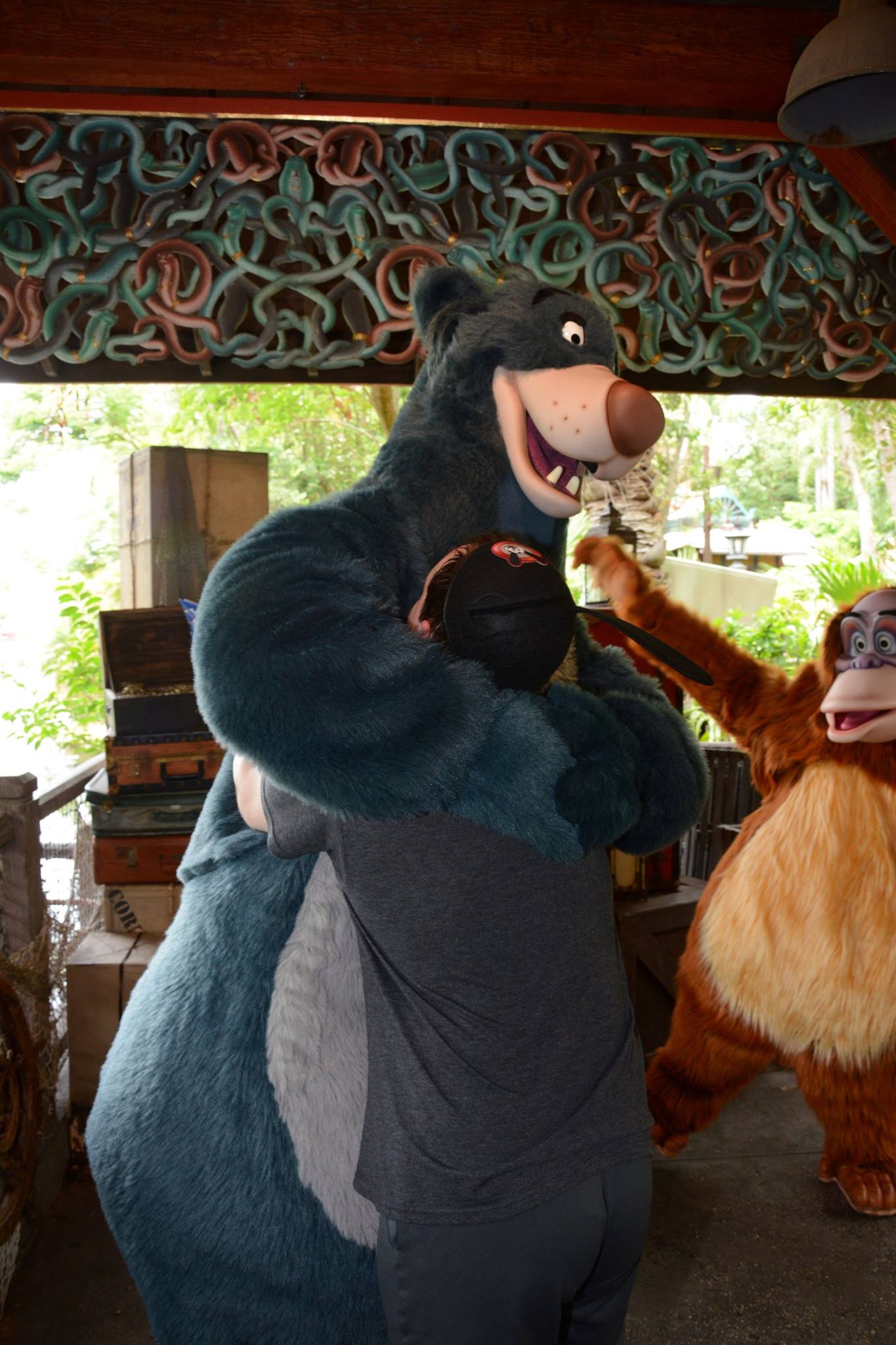 Baloo Bear Hugs
