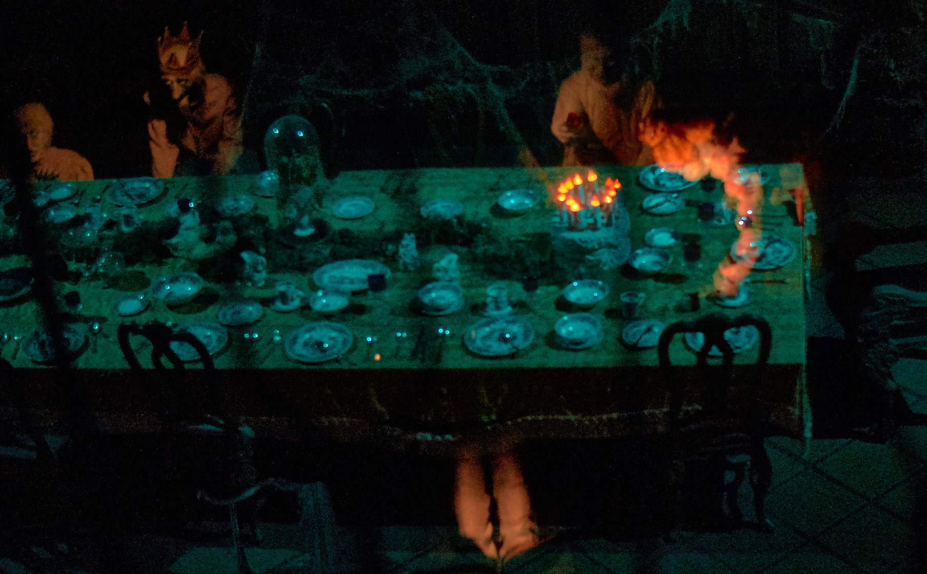 DSC02632_Nov 20 2014