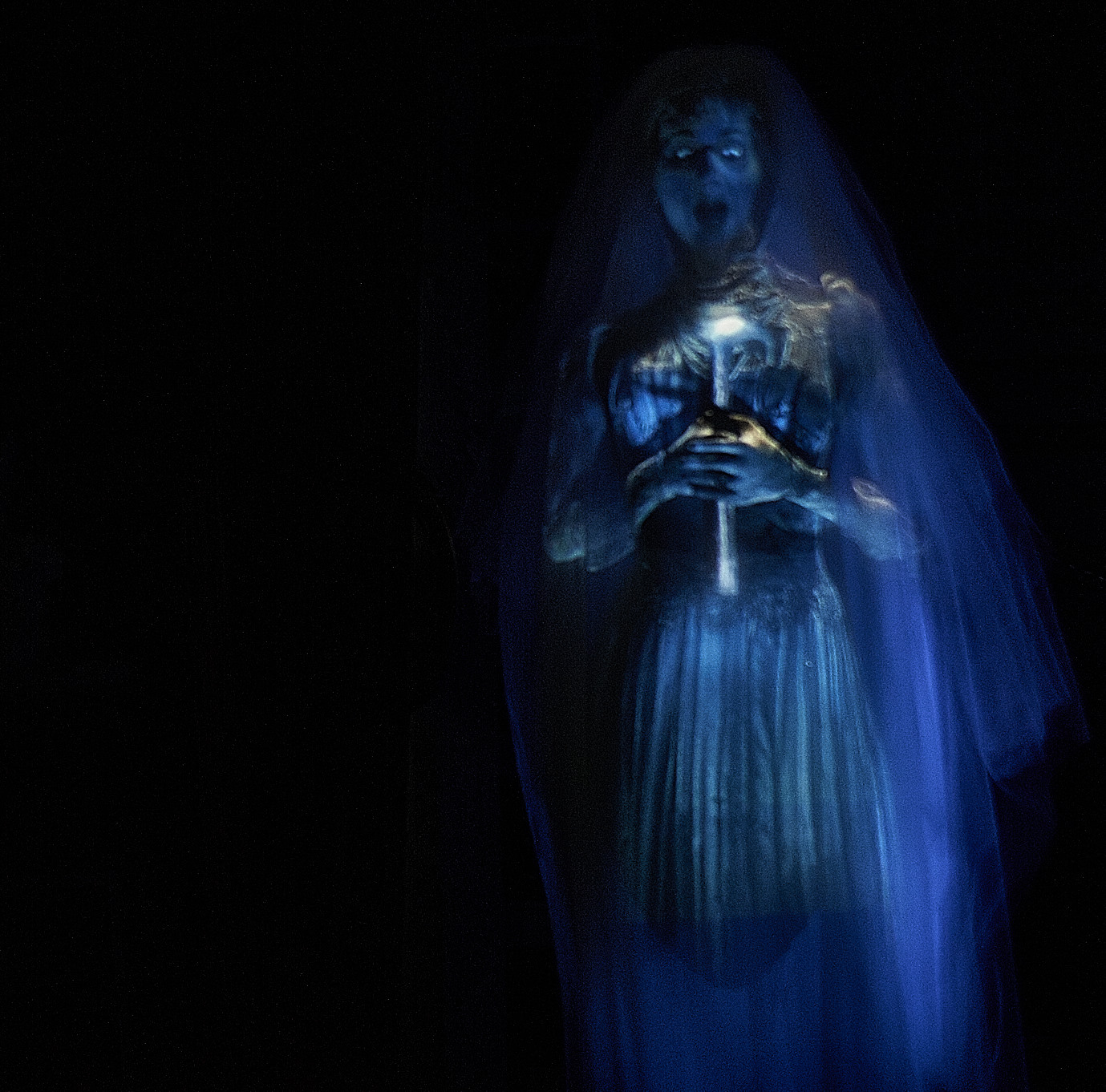 DSC02635_Nov 20 2014