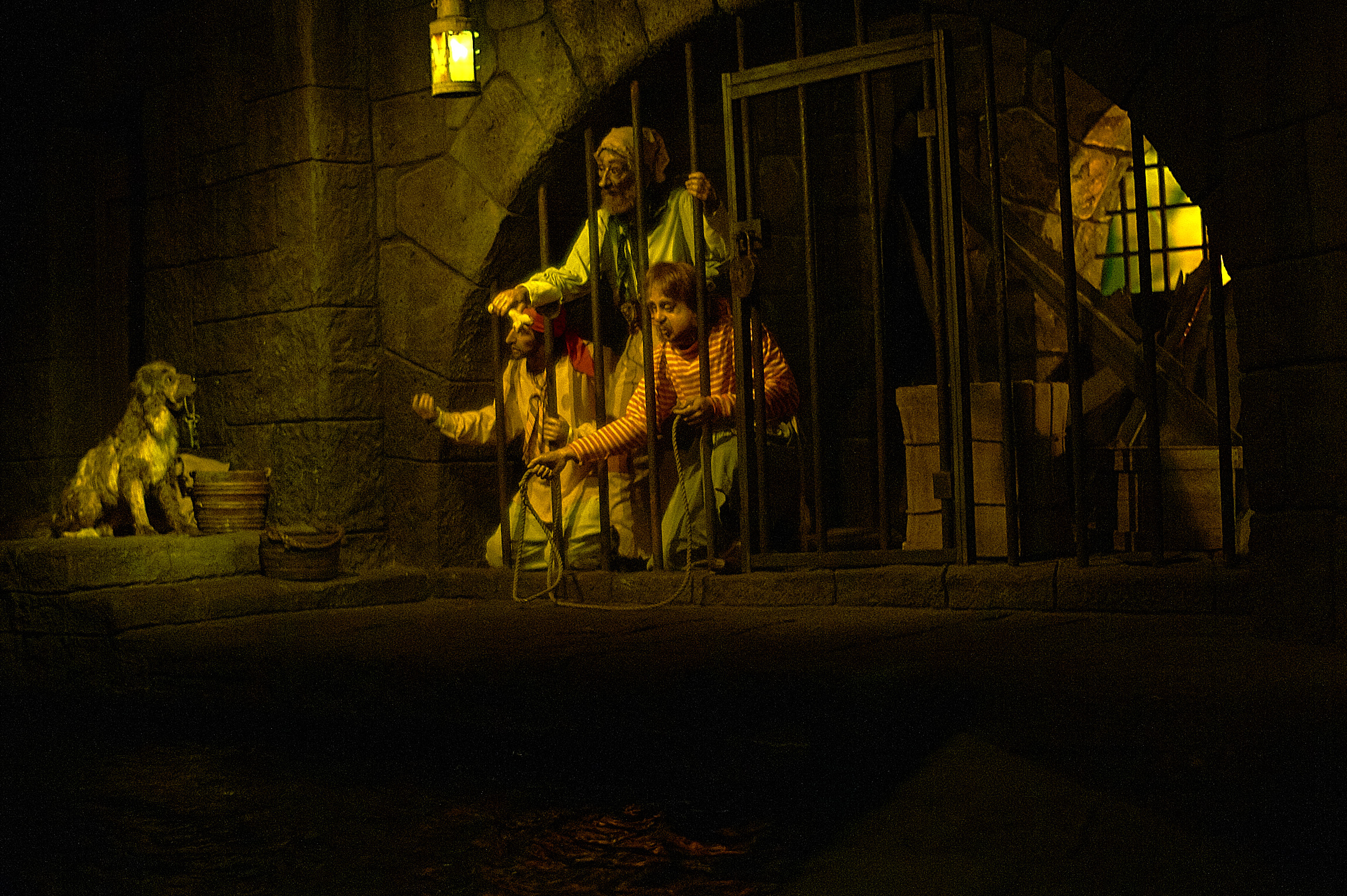 DSC02658_Nov 20 2014