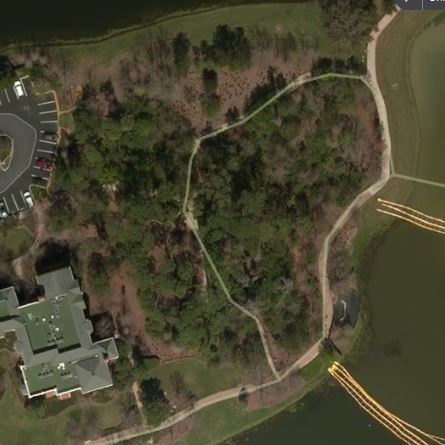 Fairy Tale Forest.JPG