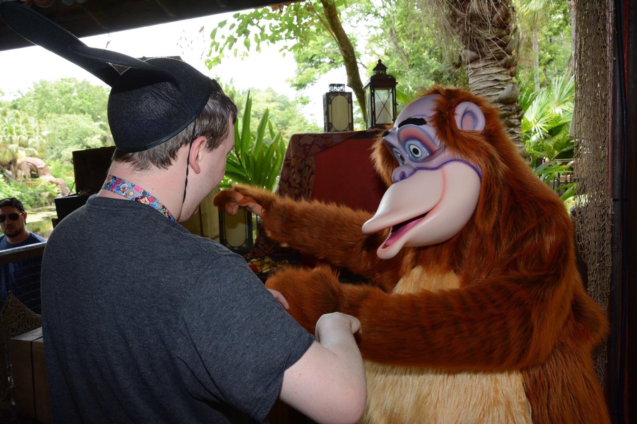 Interacting with Louie