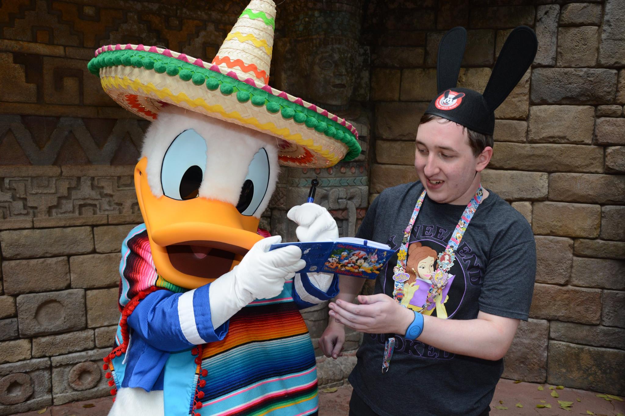 Meeting Donald Duck