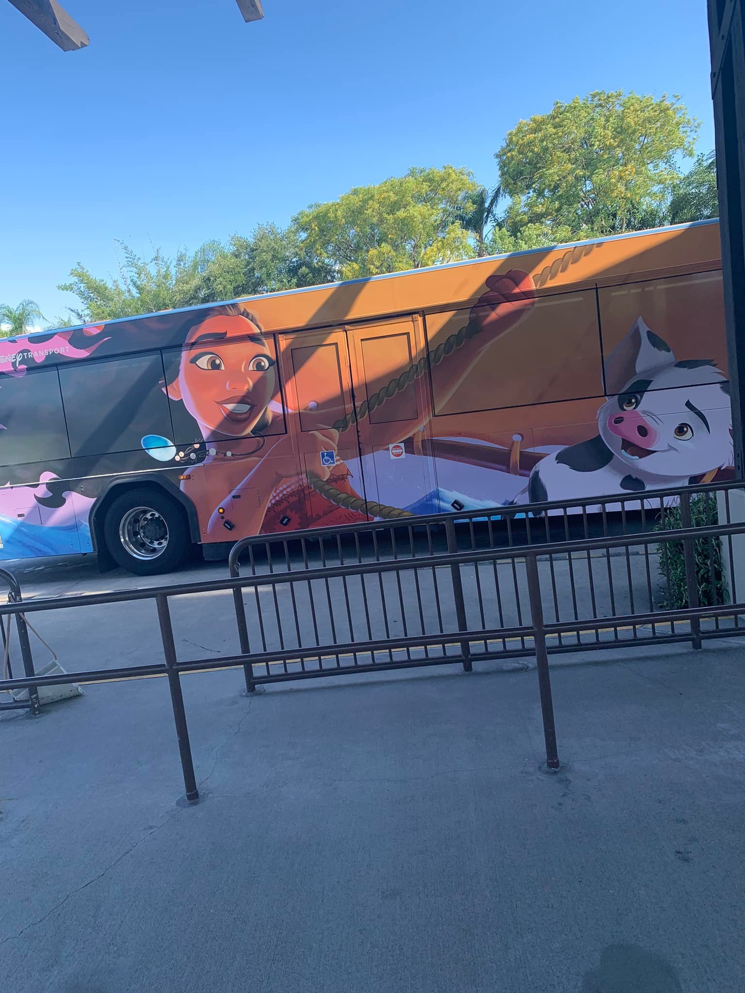 Moana bus