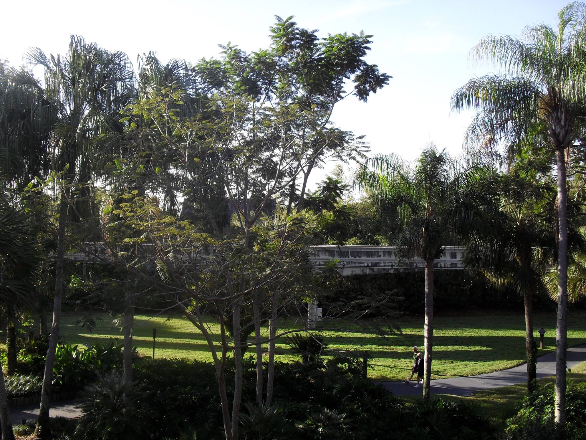 Morning View of the Monorail area of the Polynesian(2011)