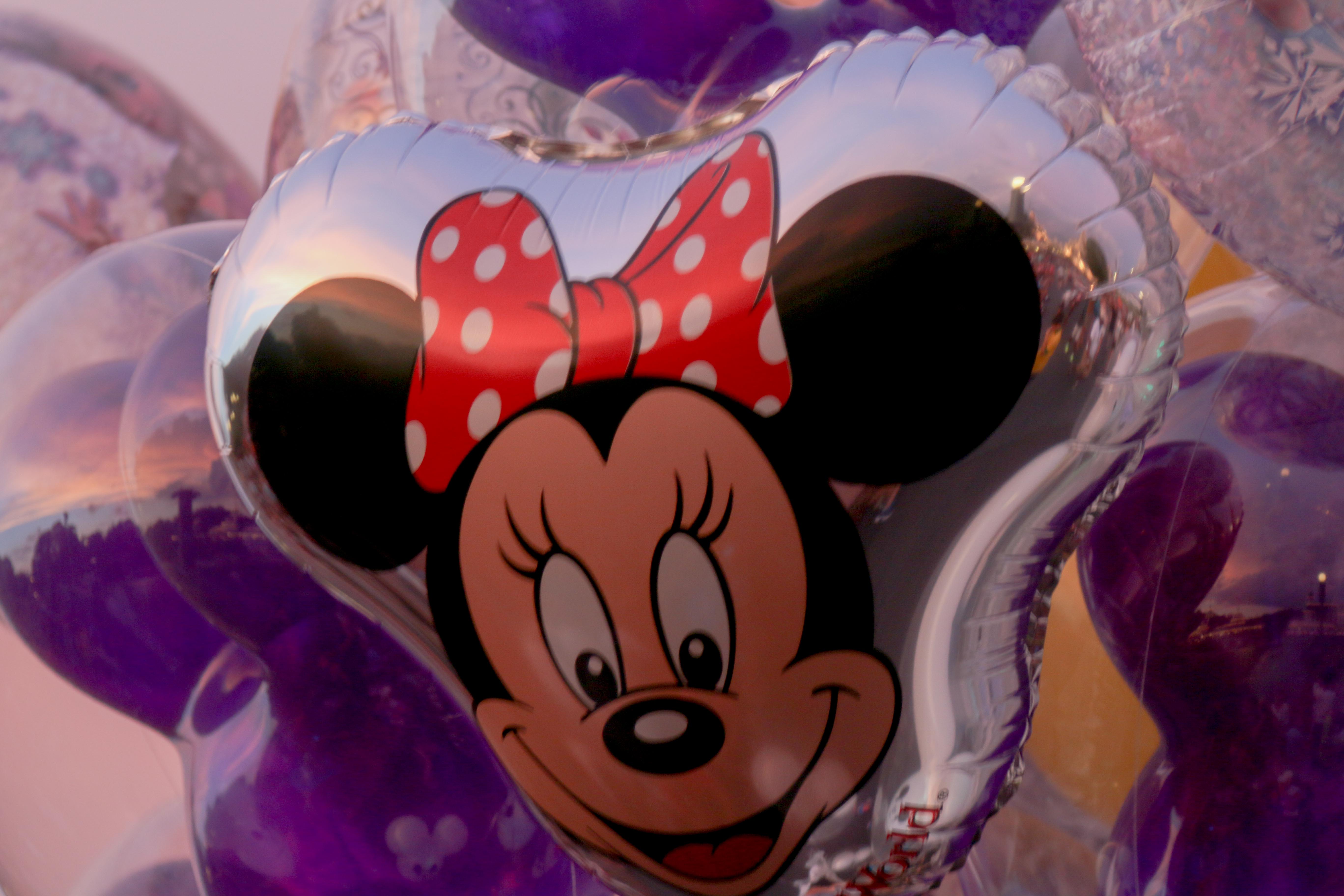 Reflection in Minnie
