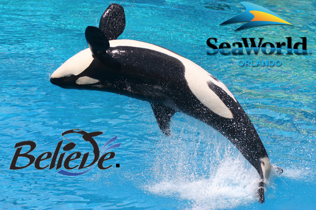 Screen Shot 2016-02-18 At 2.36.11 PM