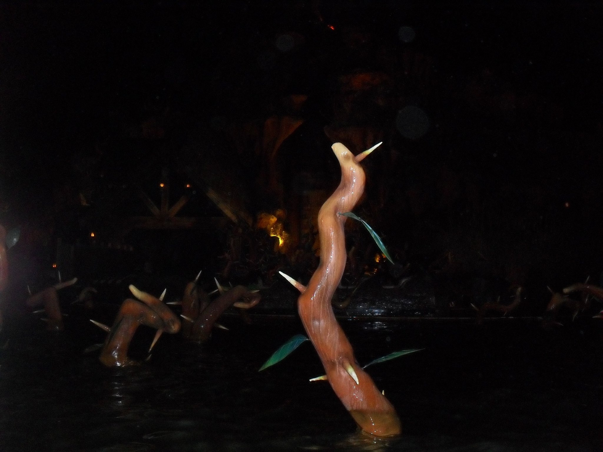 Splash Mountain(2/2)