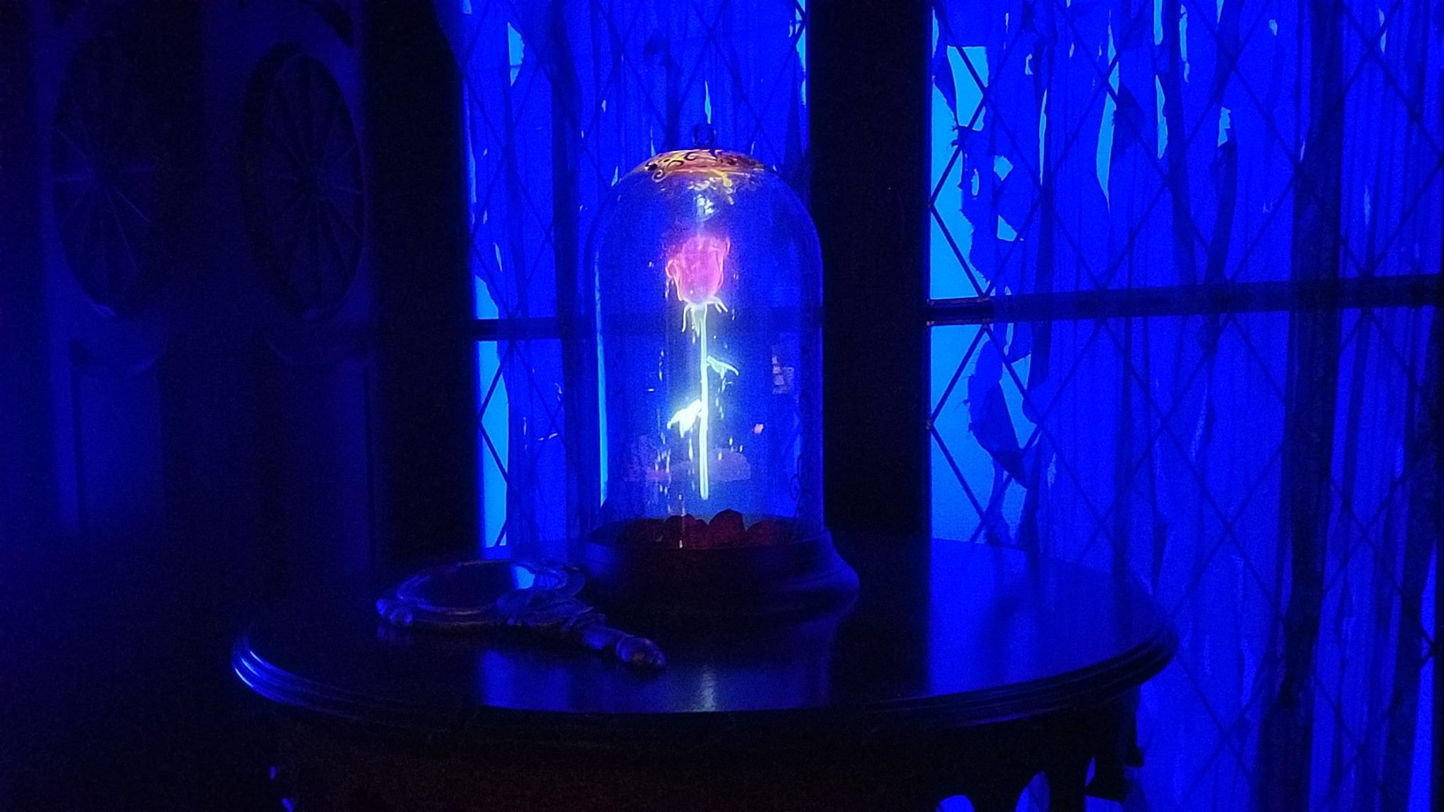 The Enchanted Rose