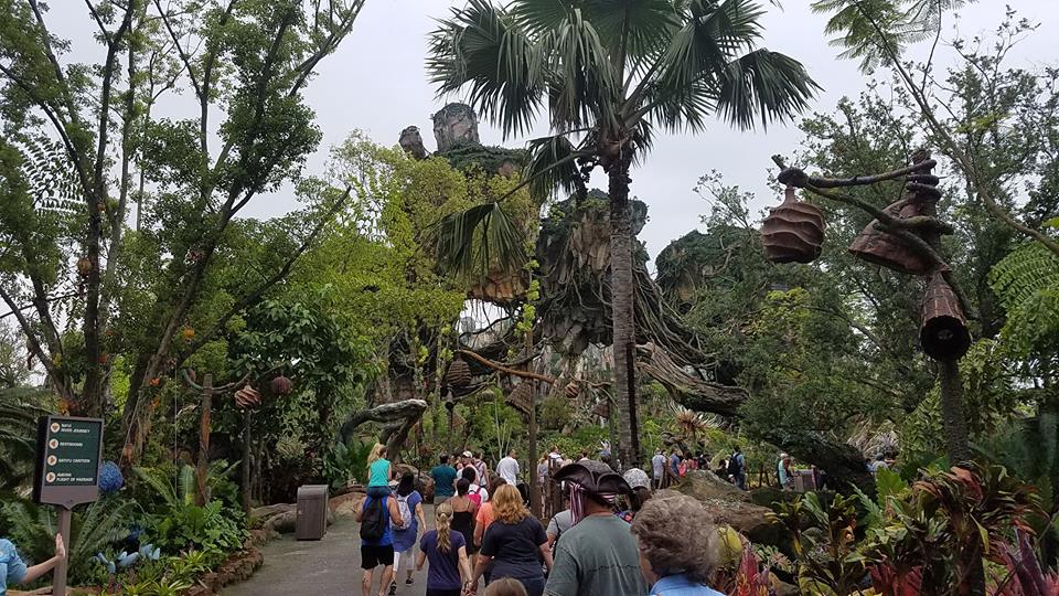 We Have Entered Pandora